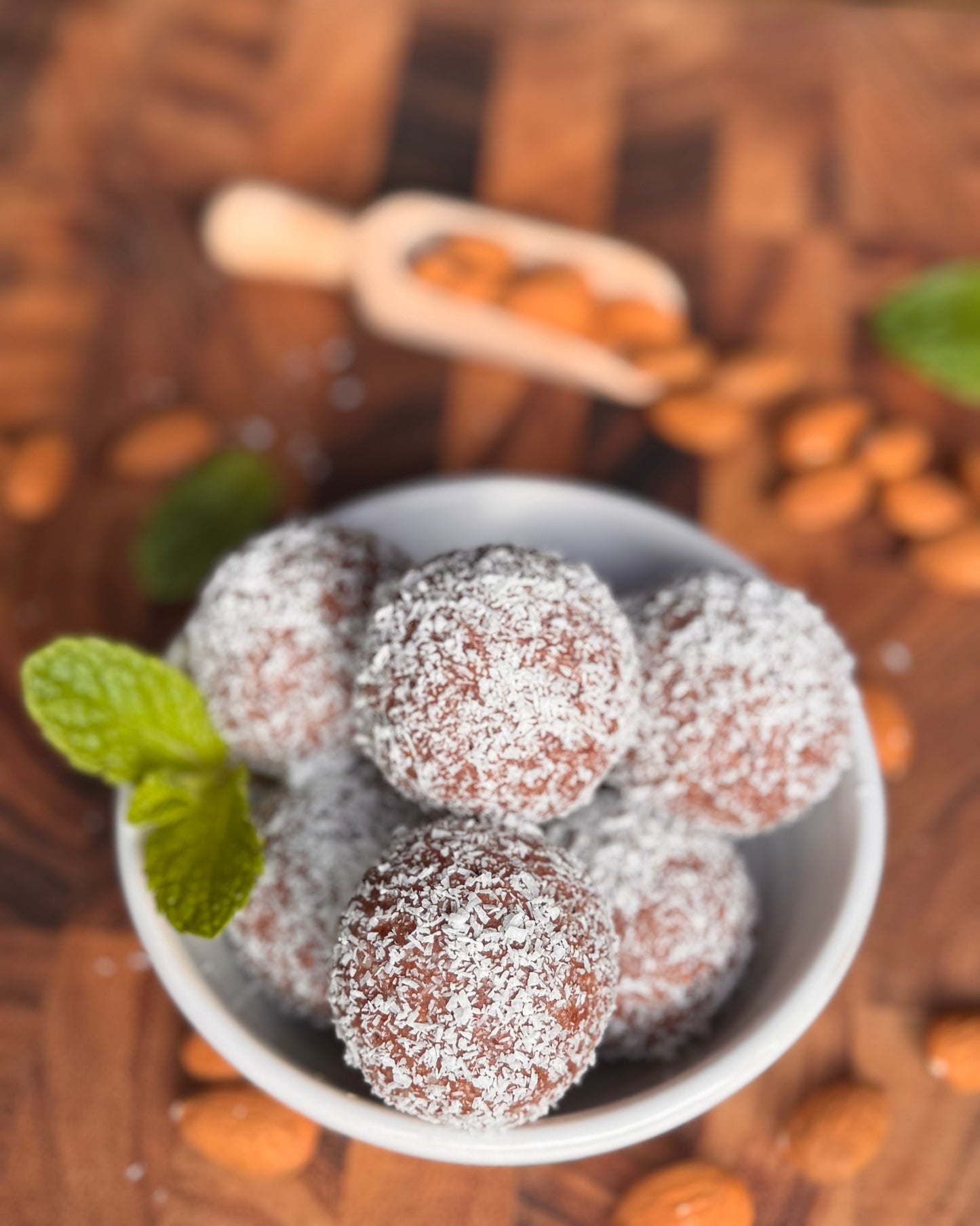 Protein Balls